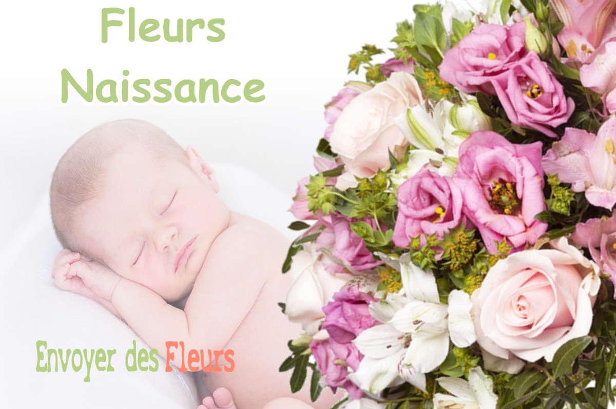 lIVRAISON FLEURS NAISSANCE à SAINT-MARTIN-DE-VAULSERRE